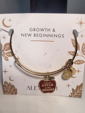 Alex & Ani $28 Apple Charm Gold Tone Bracelet